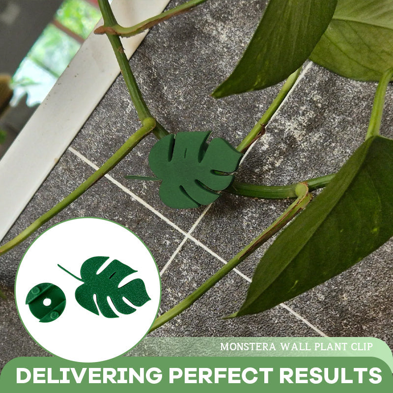 Monstera Wall Plant Clip
