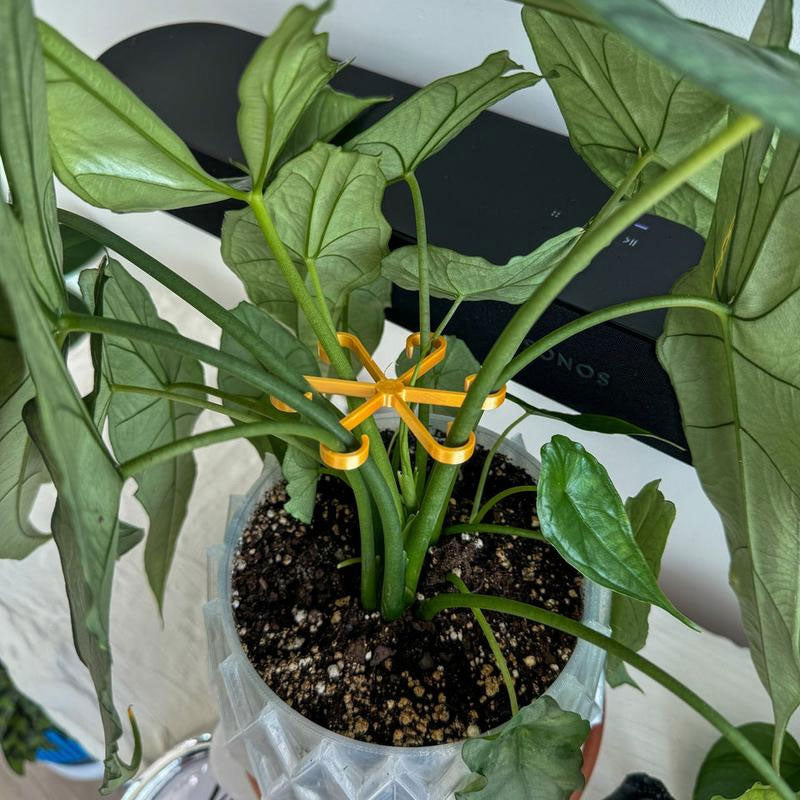 Plant Stem Support (4pcs)