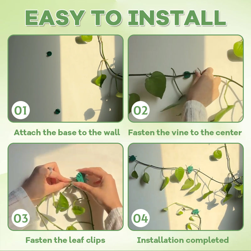 Monstera Wall Plant Clip