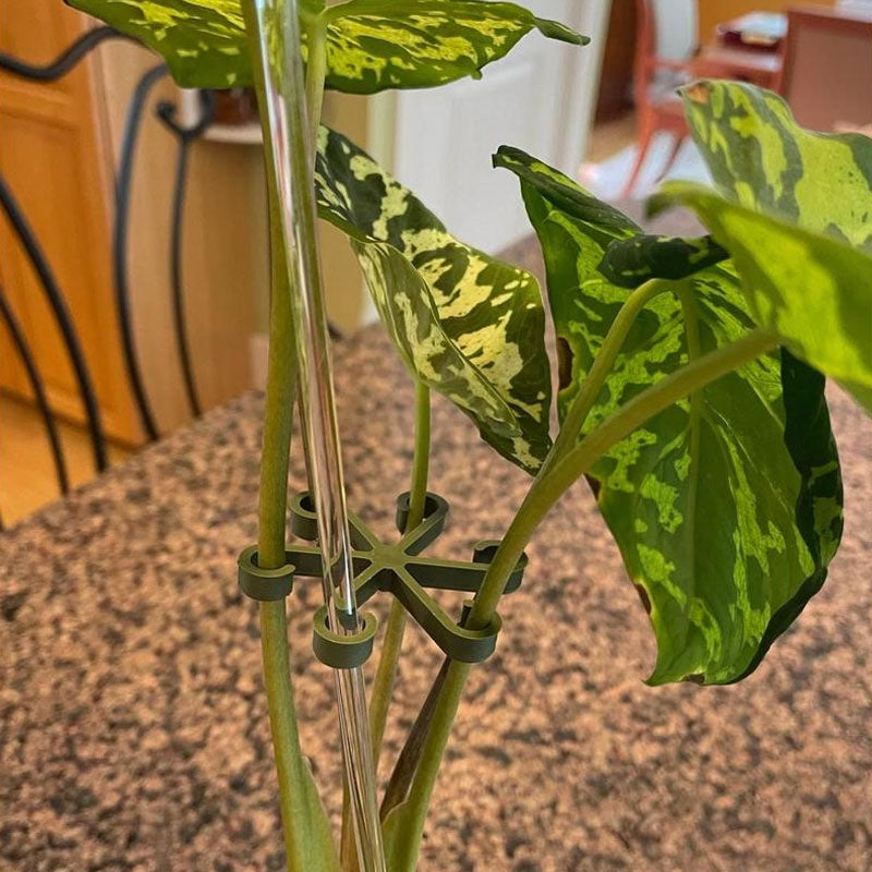 Plant Stem Support (4pcs)