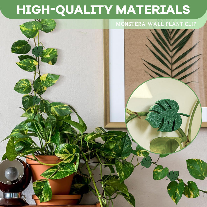 Monstera Wall Plant Clip