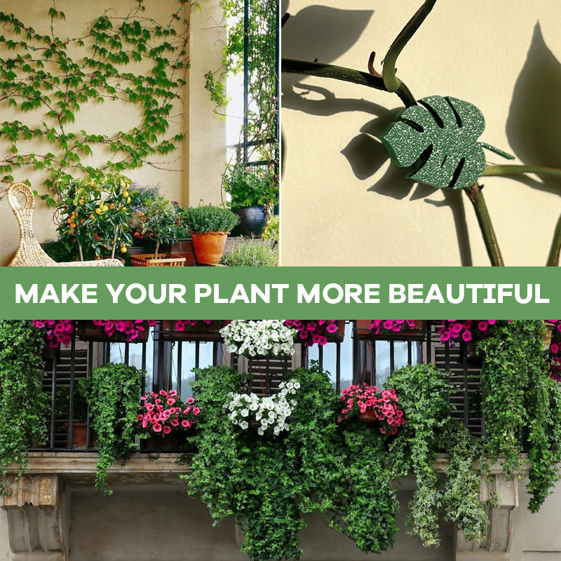Monstera Wall Plant Clip