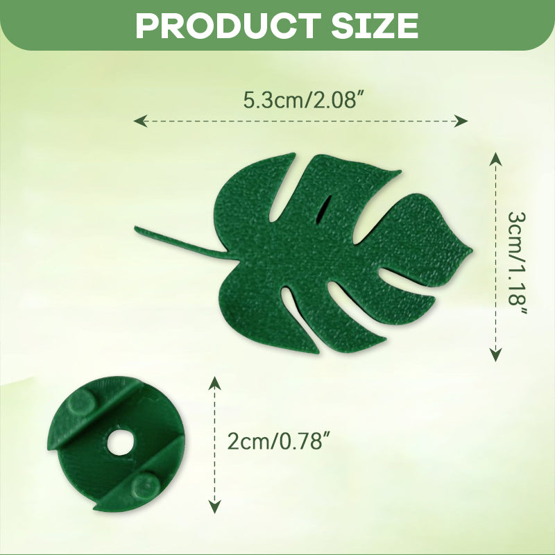 Monstera Wall Plant Clip