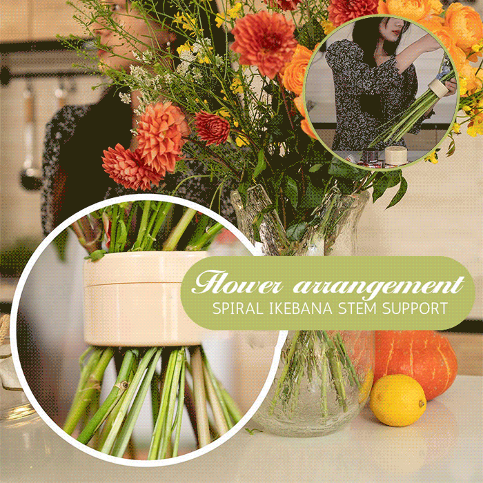 Apricot - Spiral Ikebana Stem Holder®