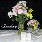 Transparent PLUS - Spiral Ikebana Stem Holder®