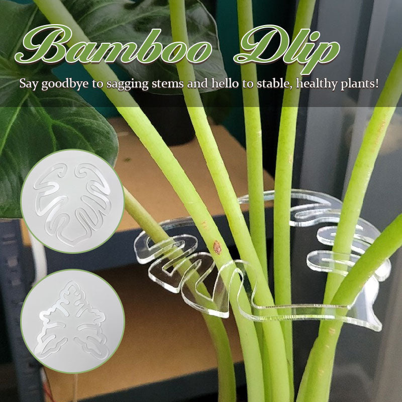 Monstera Grapple