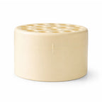 Apricot - Spiral Ikebana Stem Holder®