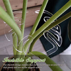 Monstera Grapple