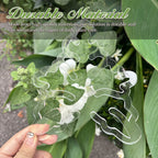 Monstera Grapple