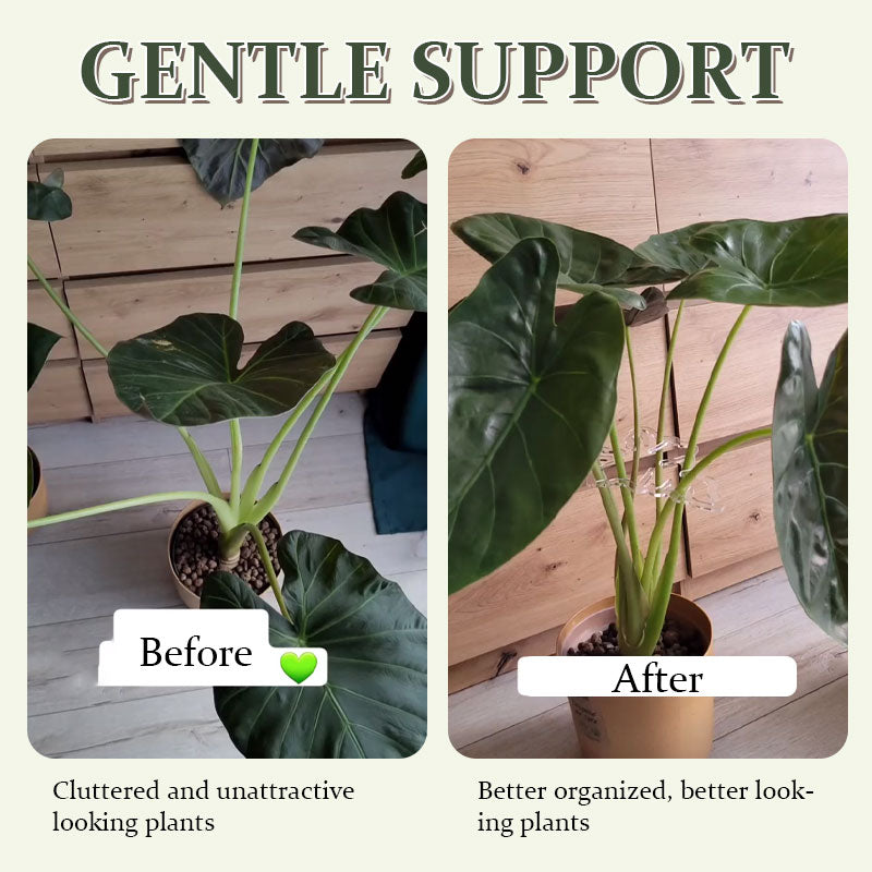Monstera Grapple