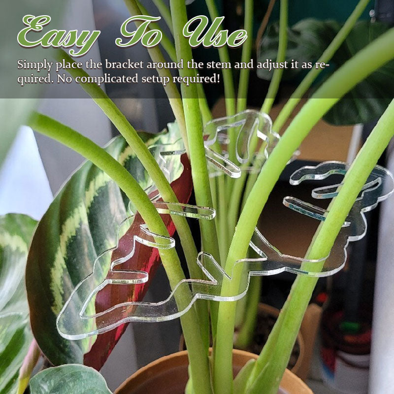 Monstera Grapple