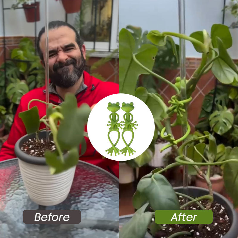 Frog Plant Stand®