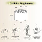 Transparent PLUS - Spiral Ikebana Stem Holder®